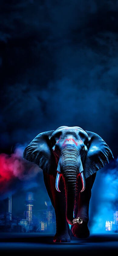 Header_01_Smartphone_390x844px